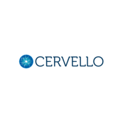 Cervello